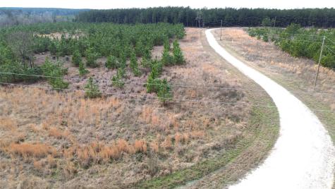 Tbd Taylor Trail Lovelady TX 75851