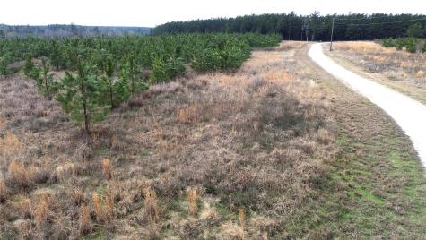 Tbd Taylor Trail Lovelady TX 75851