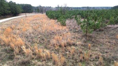 Tbd Taylor Trail Lovelady TX 75851