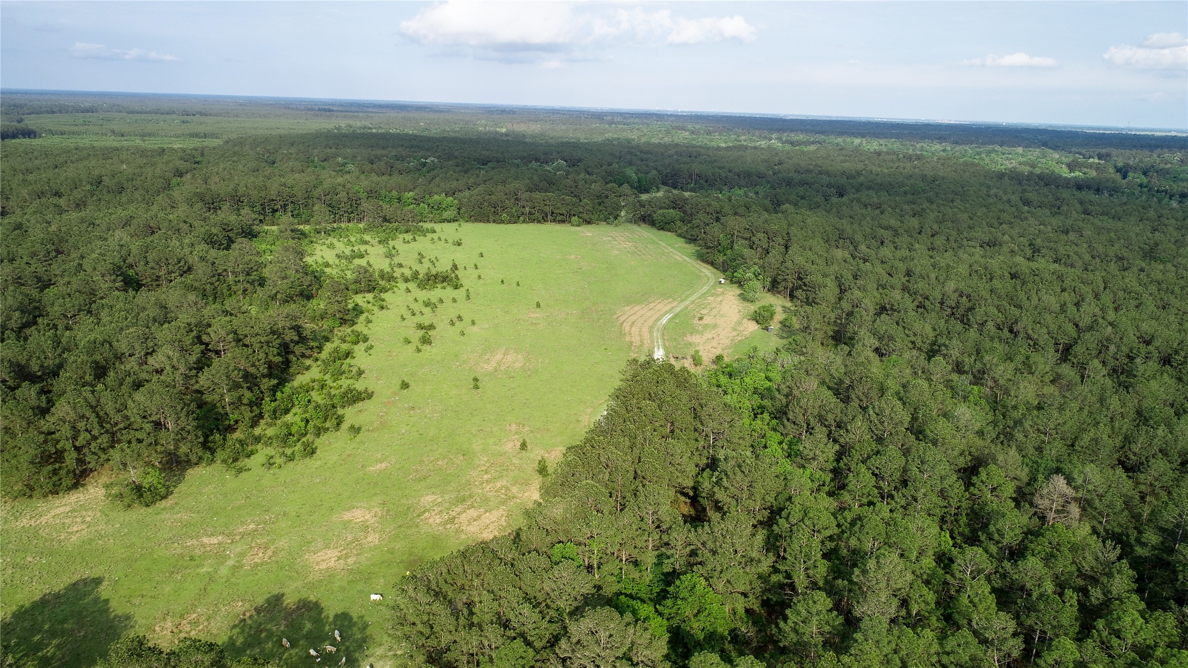 0000 Old Beaumont Road Sour Lake TX 77659