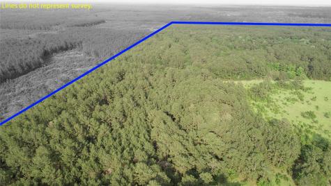 0000 Old Beaumont Road Sour Lake TX 77659