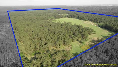 0000 Old Beaumont Road Sour Lake TX 77659