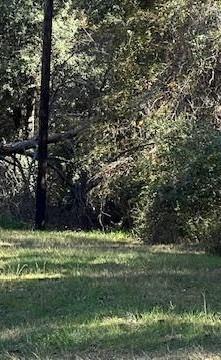 Lot 24 Clark Road Plantersville TX 77363