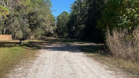 Lot 24 Clark Road Plantersville TX 77363