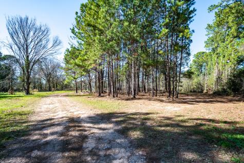 31865 Fm 1485 Road New Caney TX 77357