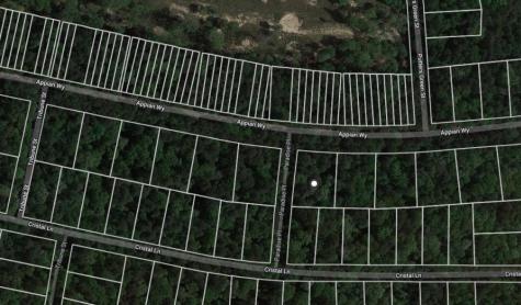Lot 1 Appian Way New Caney TX 77357