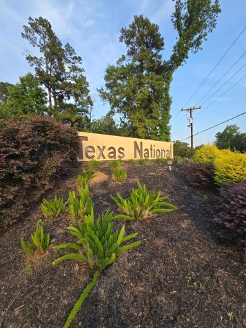 Tbd Lot 111 Texas National Willis TX 77378