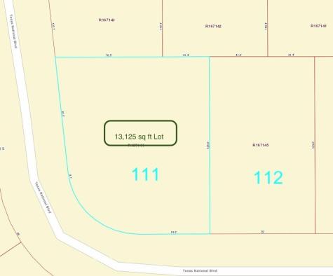 Tbd Lot 111 Texas National Willis TX 77378