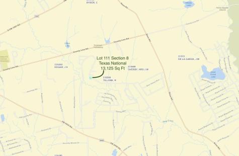 Tbd Lot 111 Texas National Willis TX 77378