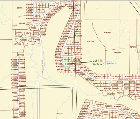 Tbd Lot 111 Texas National Willis TX 77378