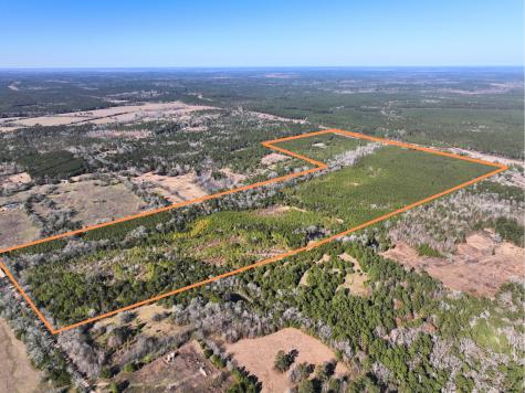 0 Kittrell Road Oakhurst TX 77359