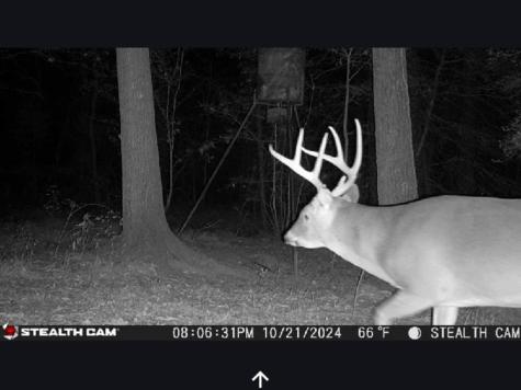 0 Kittrell Road Oakhurst TX 77359