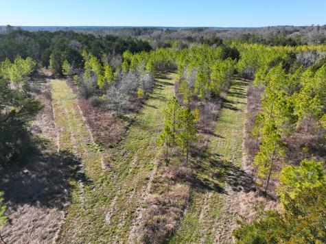 0 Kittrell Road Oakhurst TX 77359