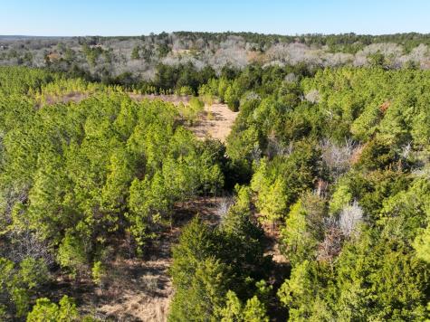 0 Kittrell Road Oakhurst TX 77359