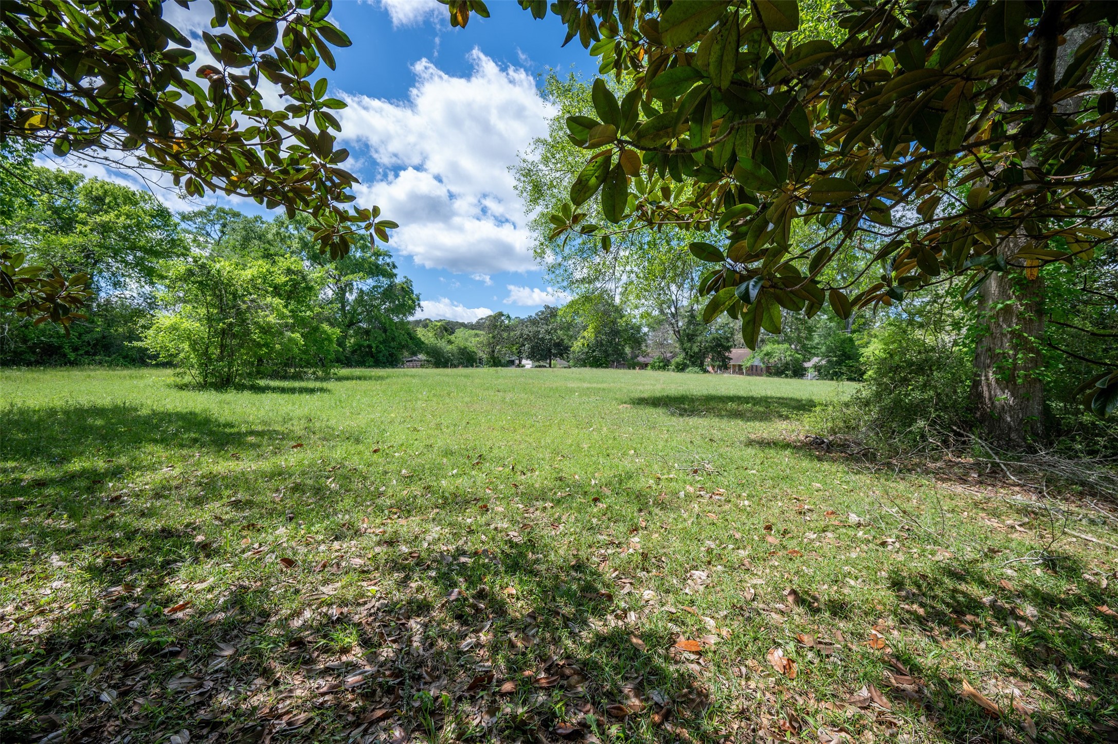 Tbd Dogwood Street Woodville TX 75979