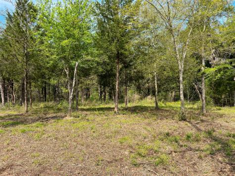 Tbd Cr 389 Jewett TX 75846