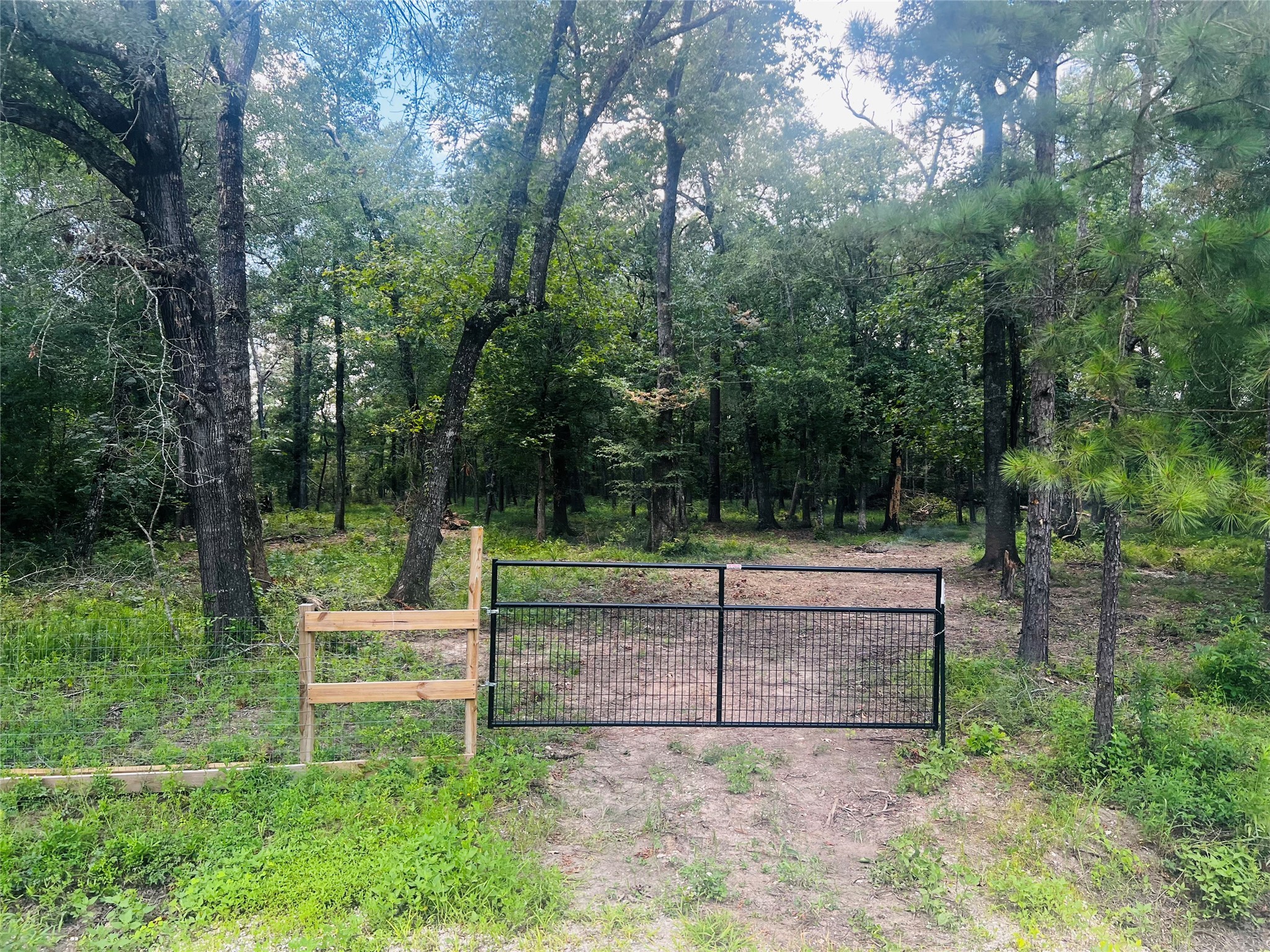 1331 County Road 2145 Cleveland TX 77327
