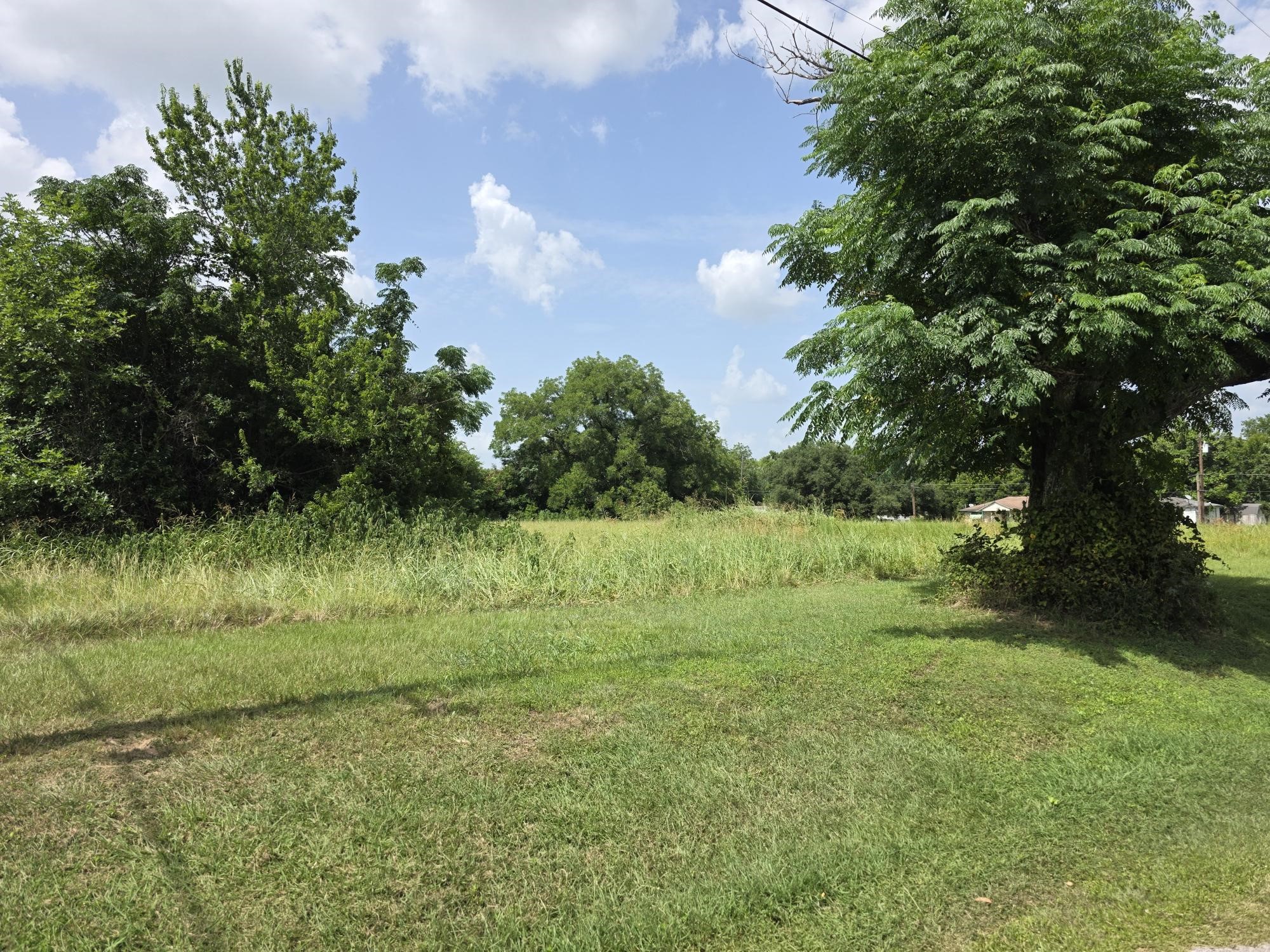 Tbd Fm 3090 Navasota TX 77868