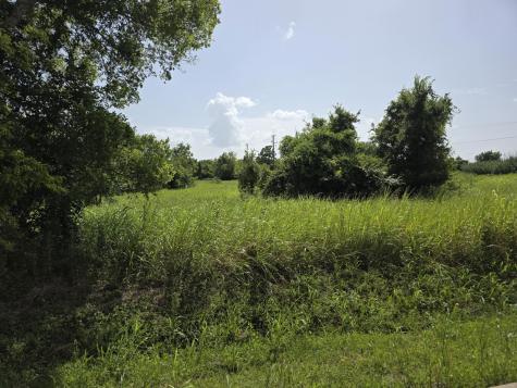 Tbd Fm 3090 Navasota TX 77868