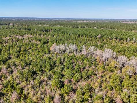 15184 Fm 92 Spurger TX 77660
