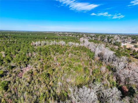 15184 Fm 92 Spurger TX 77660