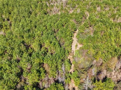 15184 Fm 92 Spurger TX 77660