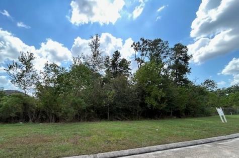 141 Kings Lake Estates Boulevard Humble TX 77346