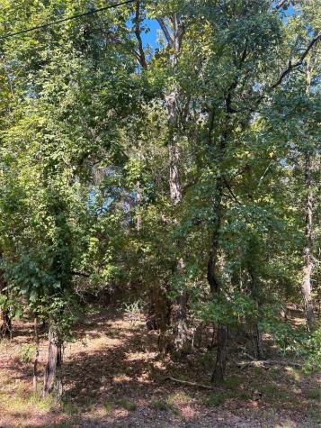 Tbd Joanna Hill Livingston TX 77351