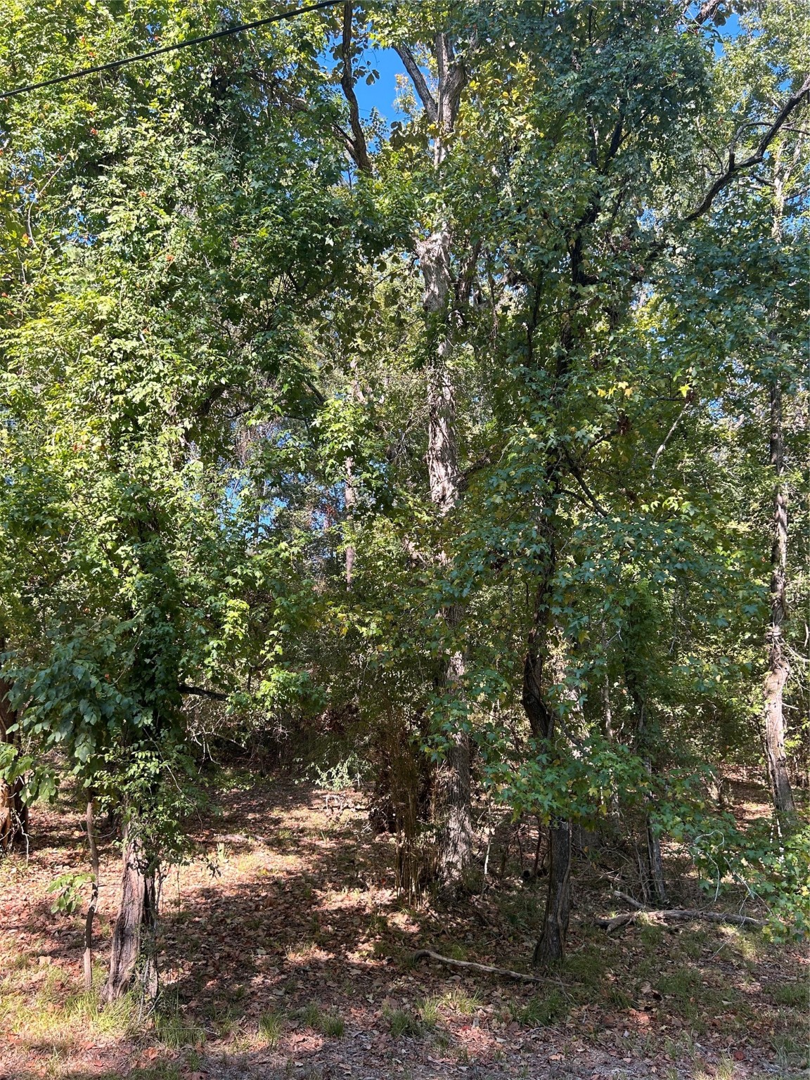 Tbd Joanna Hill Livingston TX 77351