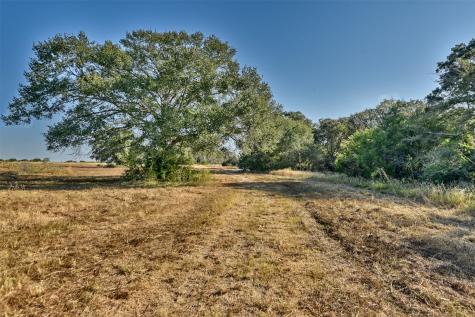 1879 County Road 413 Somerville TX 77879