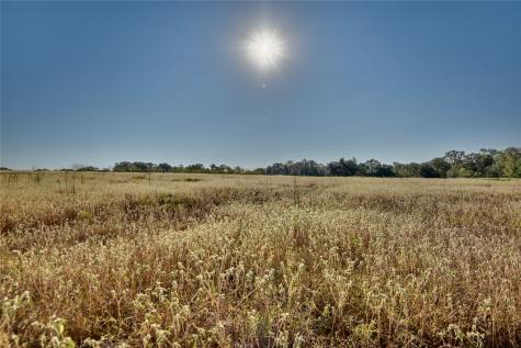 1879 County Road 413 Somerville TX 77879