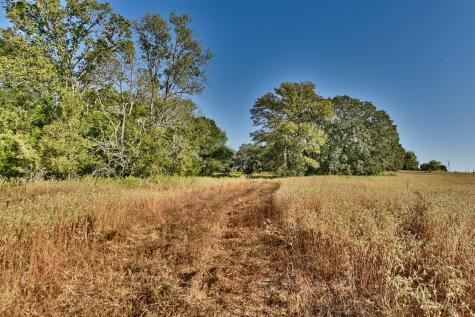1879 County Road 413 Somerville TX 77879