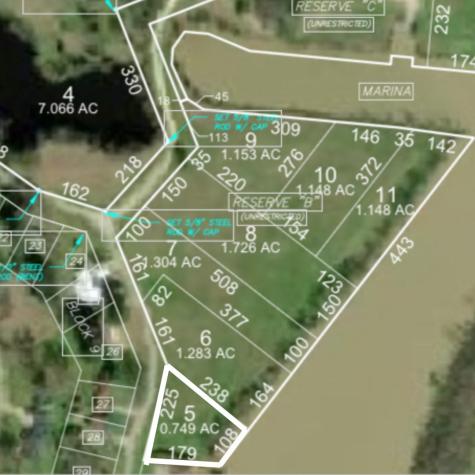Lot 5 Lake Livingston Lane Trinity TX 75862