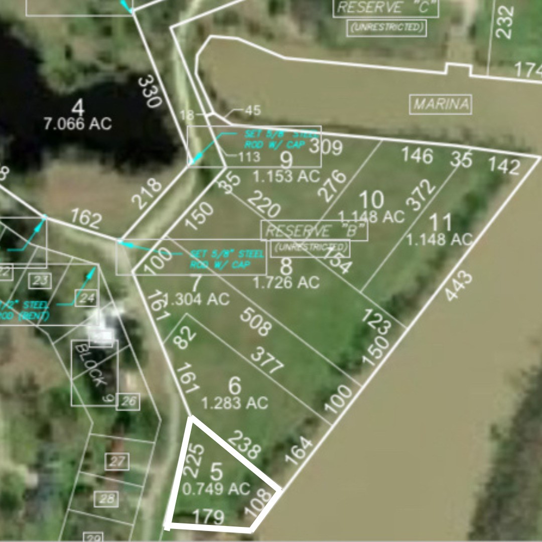 Lot 5 Lake Livingston Lane Trinity TX 75862