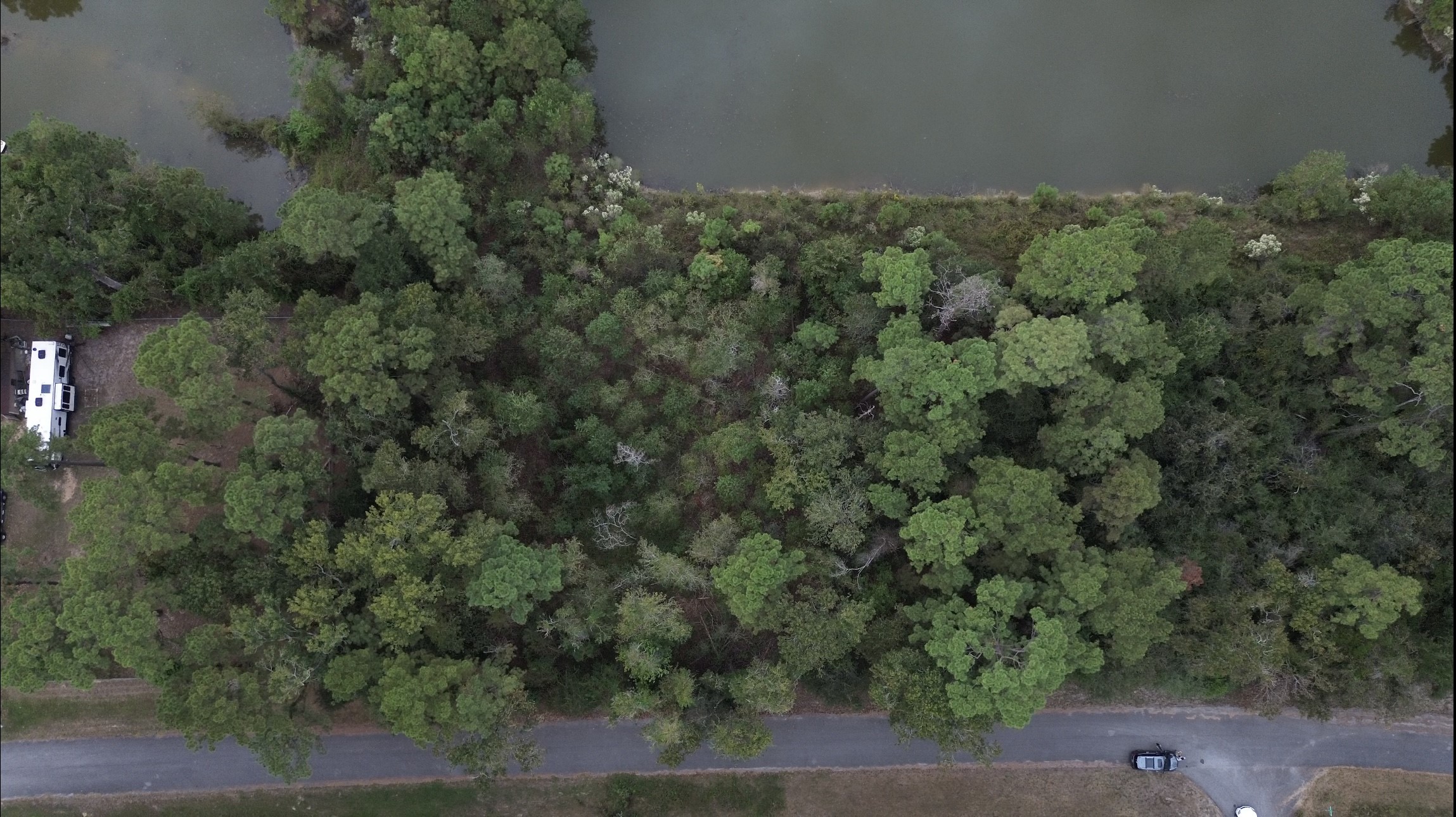 19903 W Lakelane Drive Humble TX 77338