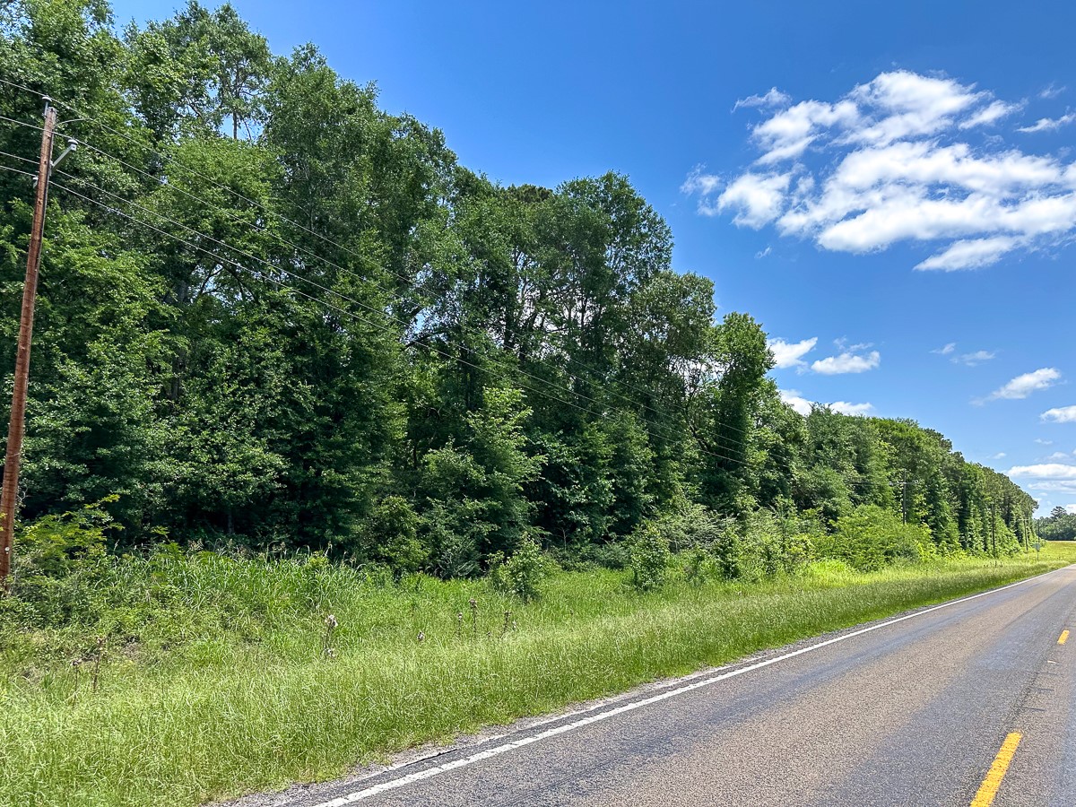 023 Highway 94 Groveton TX 75845