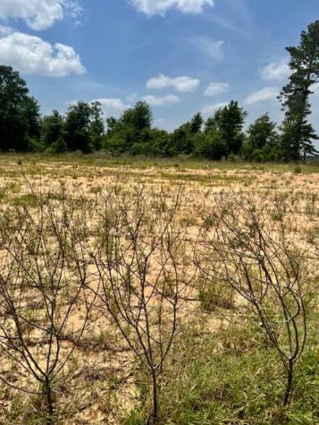 504 Road 5915 15 Cleveland TX 77327