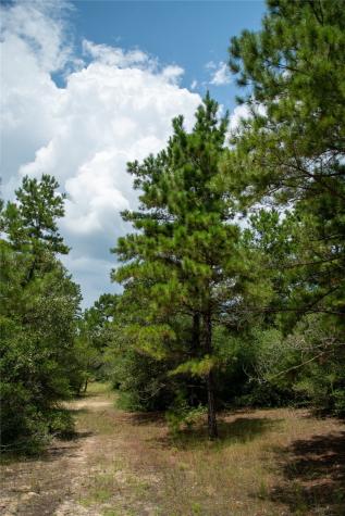 1655 Cr 1315 Centerville TX 75833