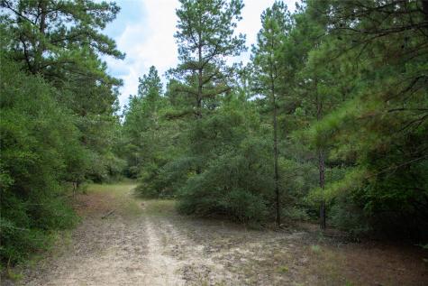 1655 Cr 1315 Centerville TX 75833