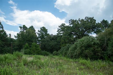 1655 Cr 1315 Centerville TX 75833