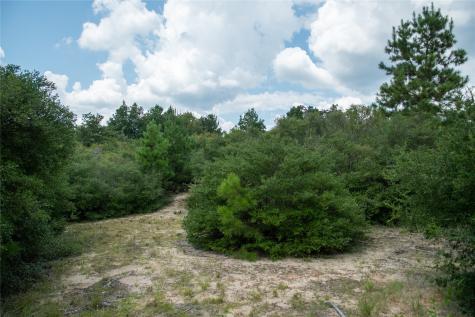 1655 Cr 1315 Centerville TX 75833