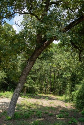 1655 Cr 1315 Centerville TX 75833