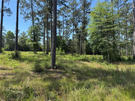009 Private Road 6028 Tract 1-9 Brookeland TX 75931