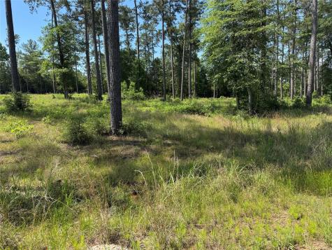 009 Private Road 6028 Tract 1-9 Brookeland TX 75931