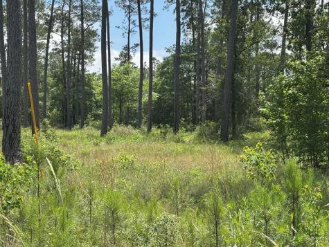 009 Private Road 6028 Tract 1-9 Brookeland TX 75931