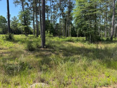 009 Private Road 6028 Tract 1-9 Brookeland TX 75931