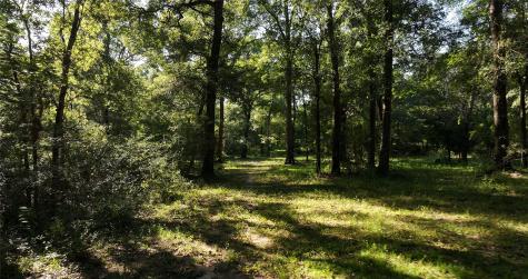 195 Ac Fm 149 Road Montgomery TX 77356