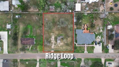 1310 Ridge Loop Palmview TX 78574