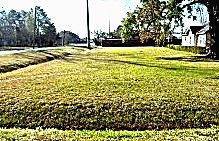 0 Magnolia Houston TX 77012