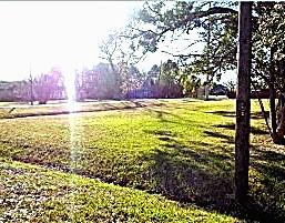 0 Magnolia Houston TX 77012